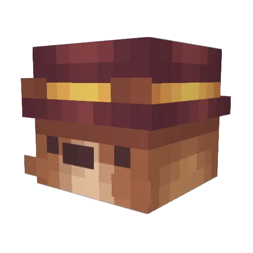 Joshua5445 Minecraft avatar head, 3D render