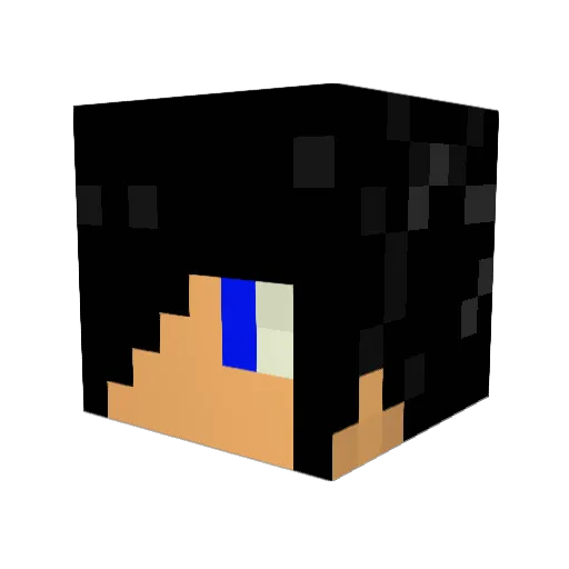 Joshua61905 Minecraft avatar head, 3D render