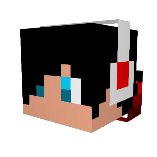 JoshuaGoGo999 Minecraft avatar head, 3D render