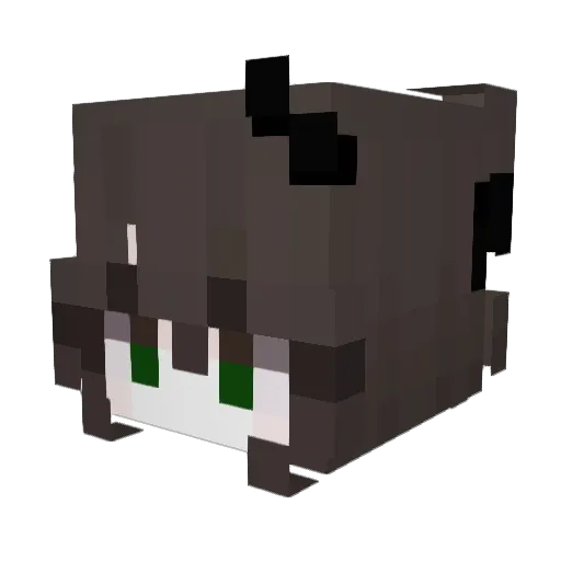 JoshuaJefferyern Minecraft avatar head, 3D render