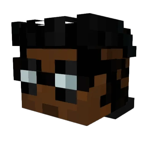 JoshuaJoestar_ Minecraft avatar head, 3D render
