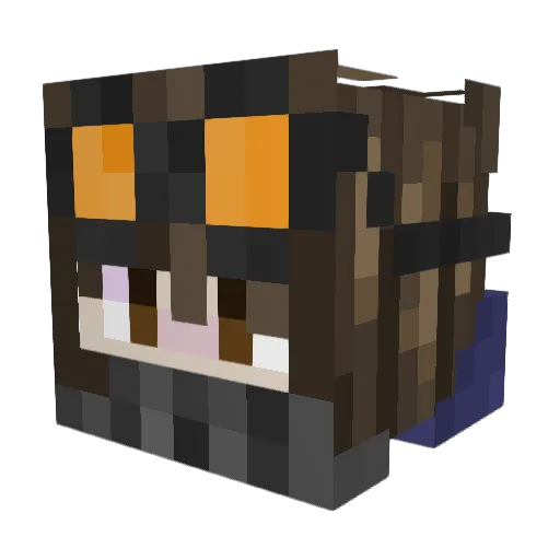 JoshuaKingg Minecraft avatar head, 3D render