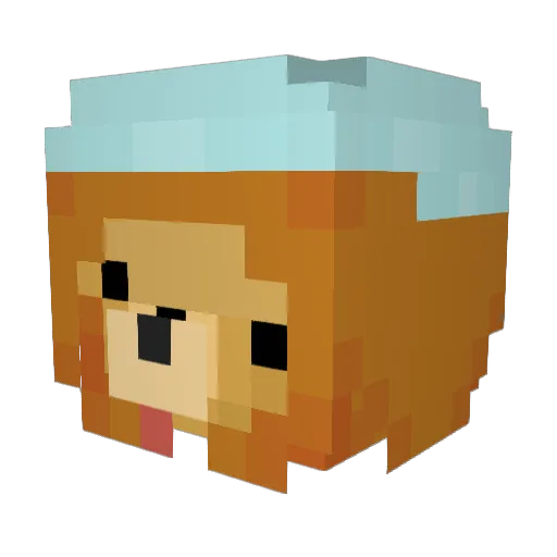 JoshuaLonger Minecraft avatar head, 3D render