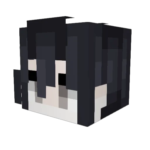 JoshuaNWHS Minecraft avatar head, 3D render