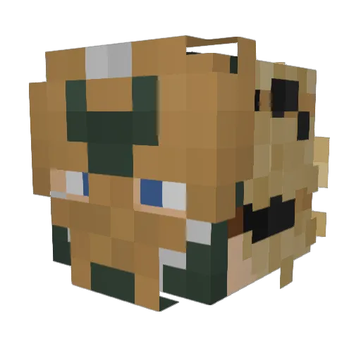 JoshuaVXZ Minecraft avatar head, 3D render