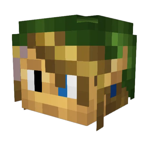 Joshua_B Minecraft avatar head, 3D render
