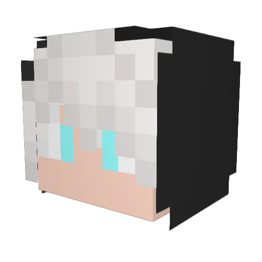 Joshua_Lee Minecraft avatar head, 3D render