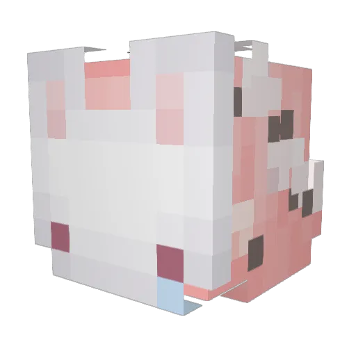 Joshuae007 Minecraft avatar head, 3D render