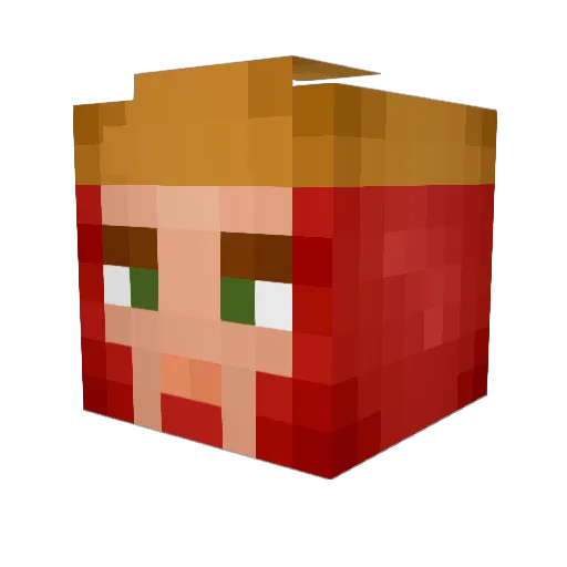Joshuajnoswag Minecraft avatar head, 3D render