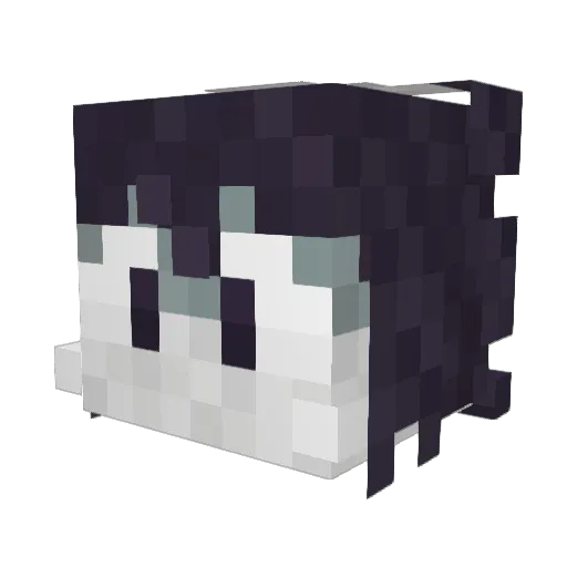 Joshuwott3663 Minecraft avatar head, 3D render