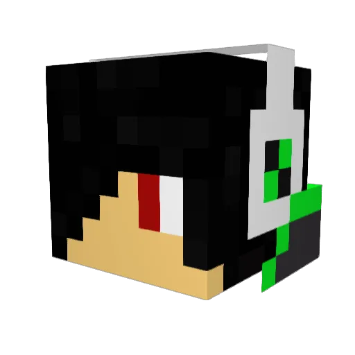 Joshw823 Minecraft avatar head, 3D render