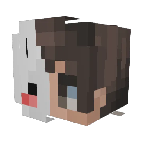 Joshy030510 Minecraft avatar head, 3D render