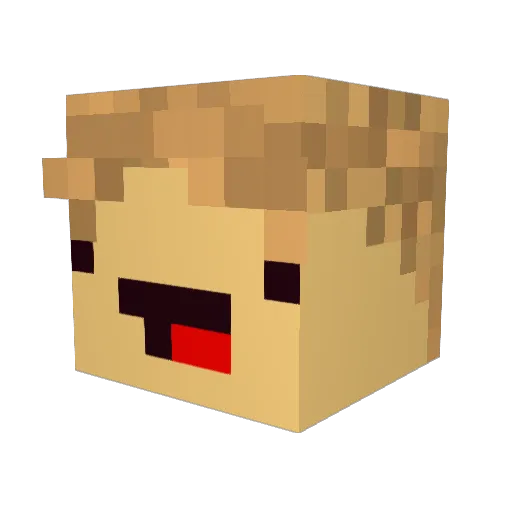 JoshyDCats20 Minecraft avatar head, 3D render