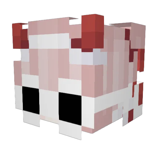 JoshyIsAnon Minecraft avatar head, 3D render