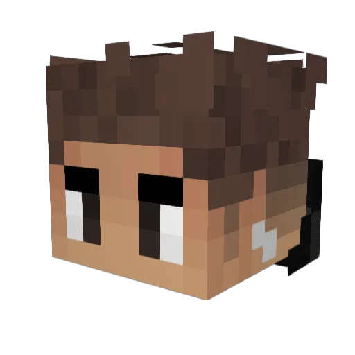 JoshyWrld Minecraft avatar head, 3D render