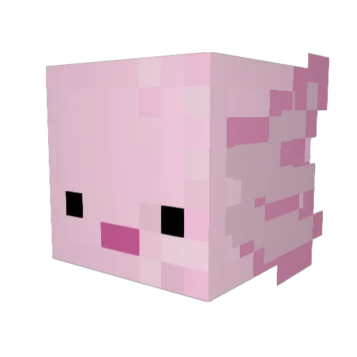 JoshyyyBoyyy Minecraft avatar head, 3D render