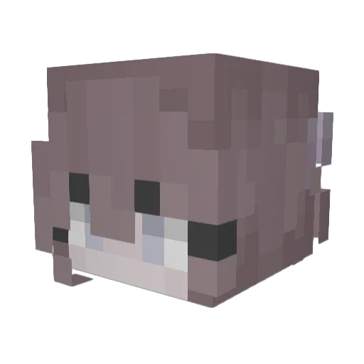 Josiexo_ Minecraft avatar head, 3D render