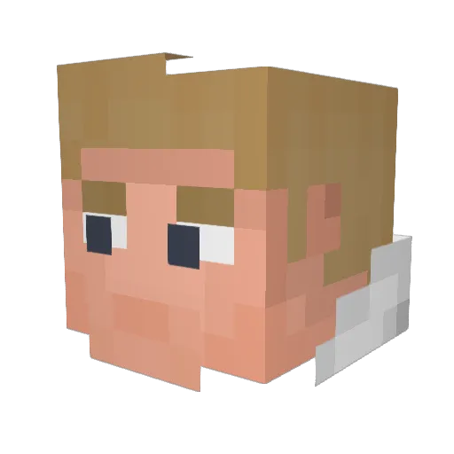 Joso_20 Minecraft avatar head, 3D render