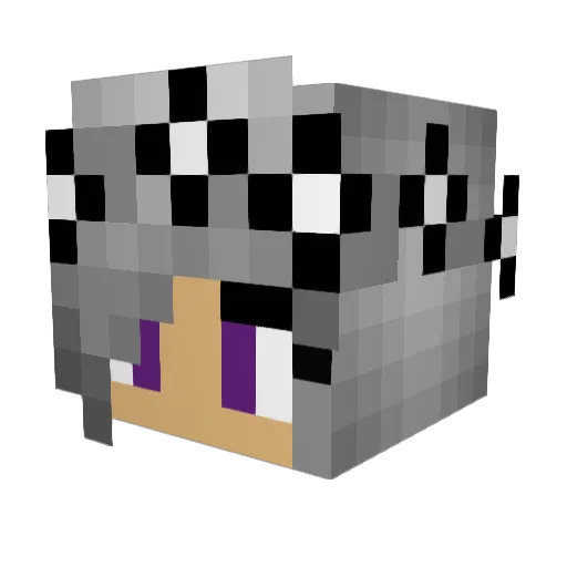 Joss317 Minecraft avatar head, 3D render
