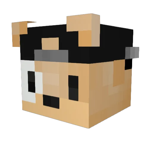 Jossue_ Minecraft avatar head, 3D render