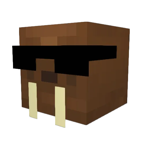 Josty7 Minecraft avatar head, 3D render