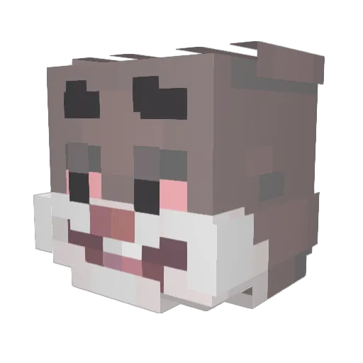 JosuaColombia Minecraft avatar head, 3D render