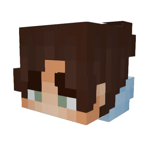 Jotaerri11 Minecraft avatar head, 3D render