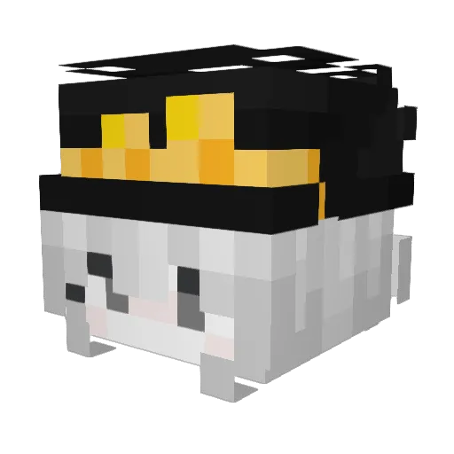 Jotaro0o Minecraft avatar head, 3D render