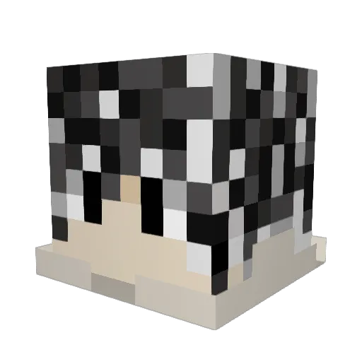 Jotashe Minecraft avatar head, 3D render