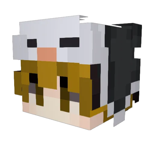 Jotis01 Minecraft avatar head, 3D render