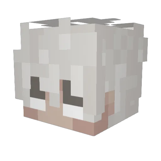 Jottweiler Minecraft avatar head, 3D render