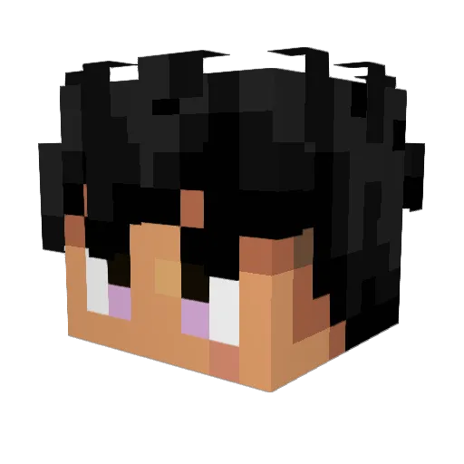 Jouhei Minecraft avatar head, 3D render