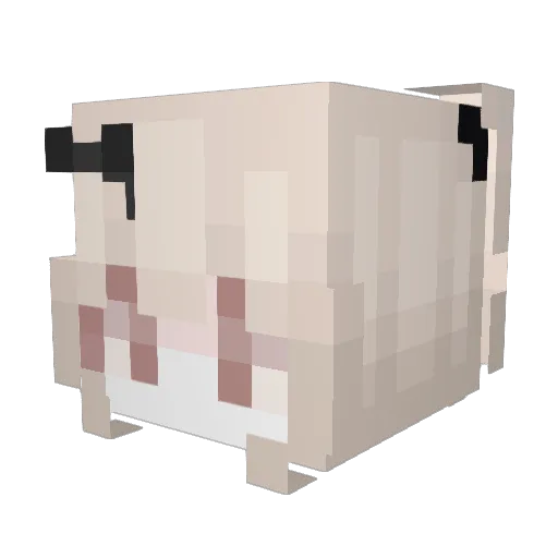 Jounia Minecraft avatar head, 3D render