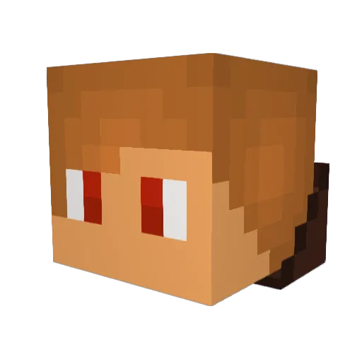 Jourdyn Minecraft avatar head, 3D render