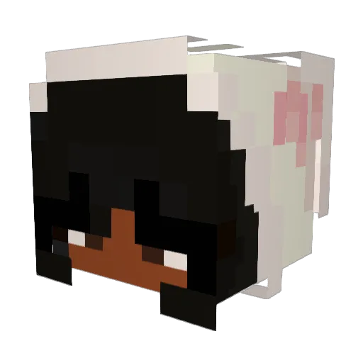 JourneyLuvv Minecraft avatar head, 3D render