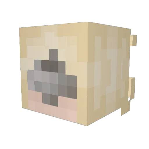 JovemFrost Minecraft avatar head, 3D render