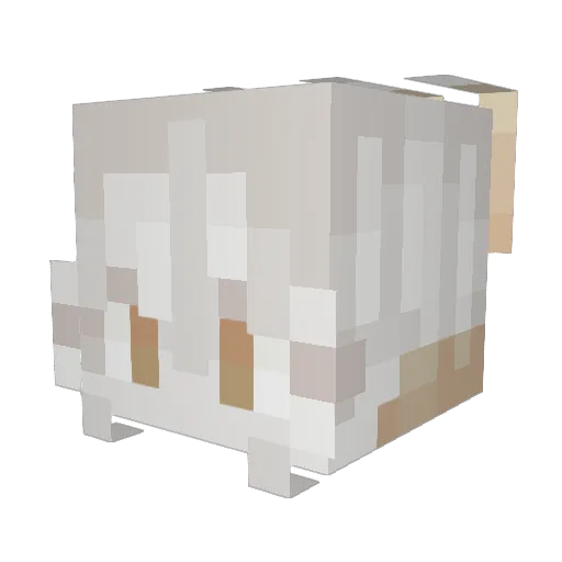 JovialNyaa Minecraft avatar head, 3D render