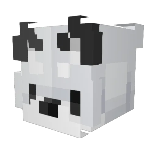Jovqn Minecraft avatar head, 3D render