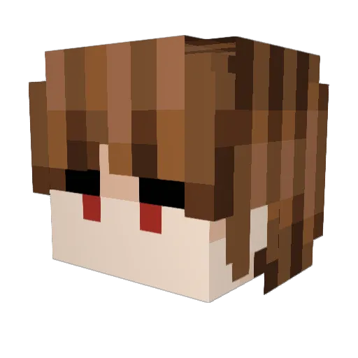 Jowalrus Minecraft avatar head, 3D render