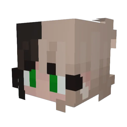 JoyOfKoalas Minecraft avatar head, 3D render