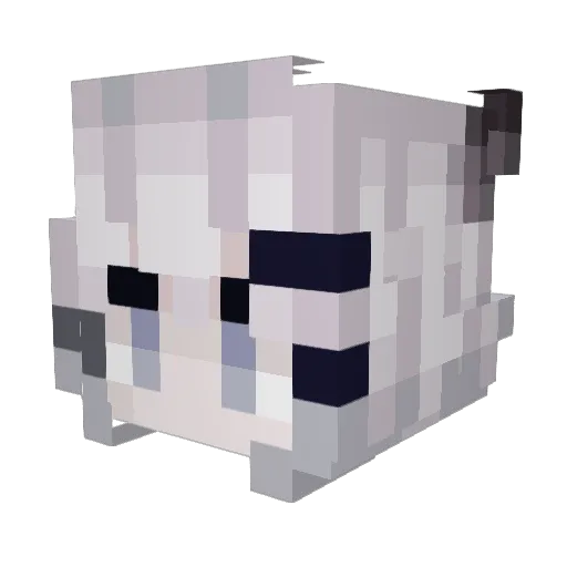 JoyTakamii Minecraft avatar head, 3D render
