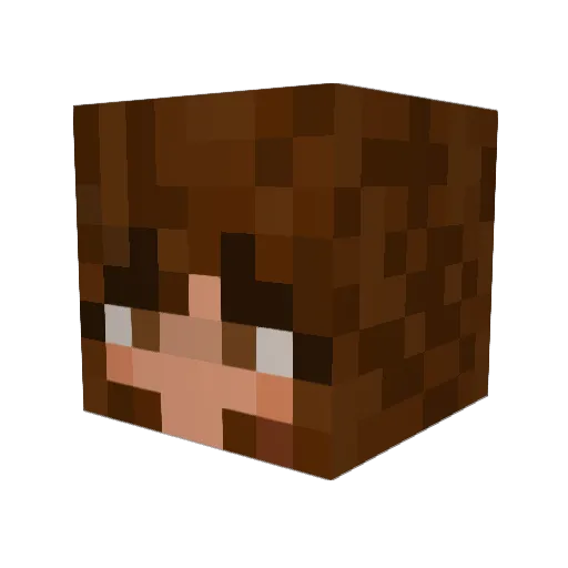 Joyce08 Minecraft avatar head, 3D render