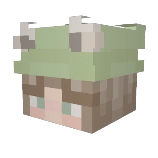 Joycegoesrawr Minecraft avatar head, 3D render