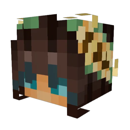 JoyfulJenny Minecraft avatar head, 3D render