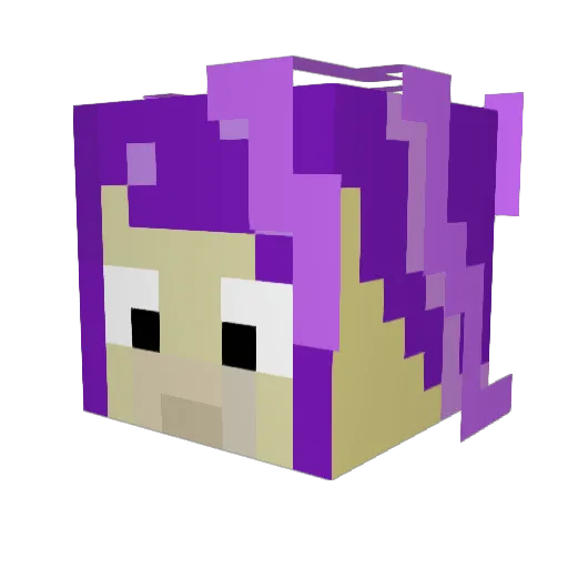 JoyfulLadybug Minecraft avatar head, 3D render