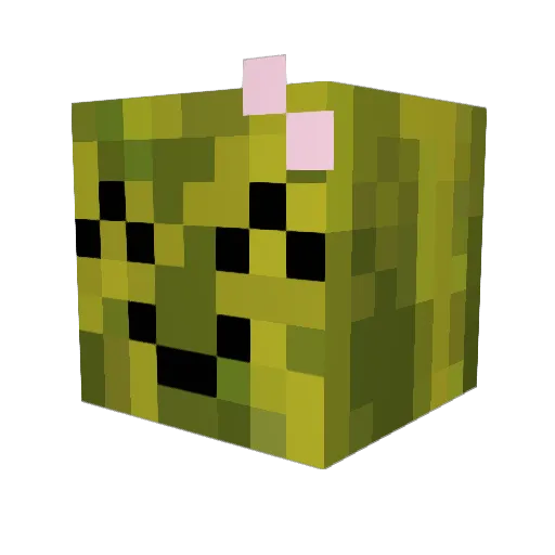 JoyfulWatermelon Minecraft avatar head, 3D render