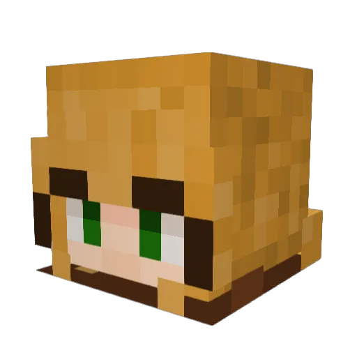 Joyful_Papaya Minecraft avatar head, 3D render