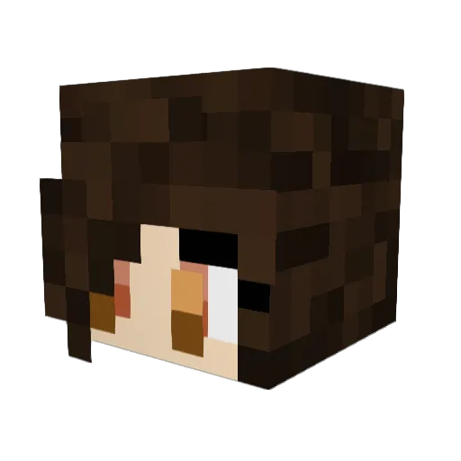 Joyst19 Minecraft avatar head, 3D render