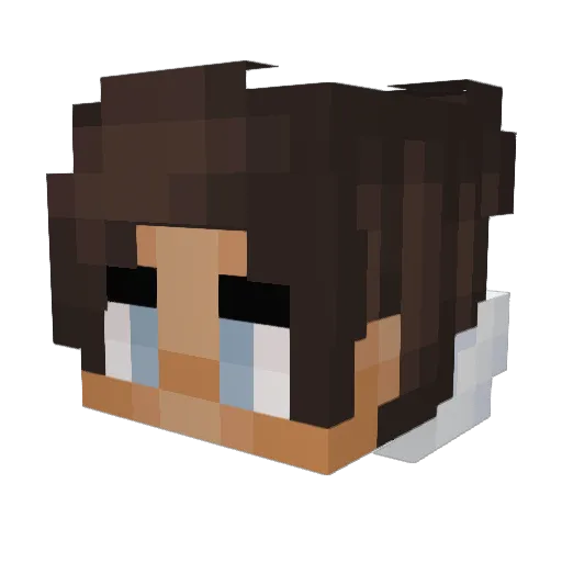 Joystick0569 Minecraft avatar head, 3D render