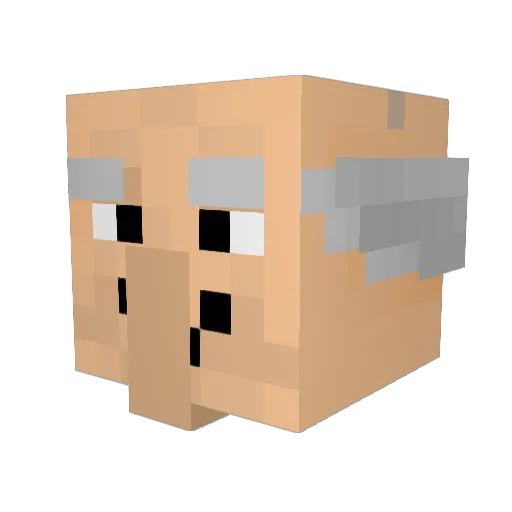 Jozefeman69 Minecraft avatar head, 3D render